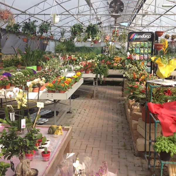 Garden Frediani prima del restyling