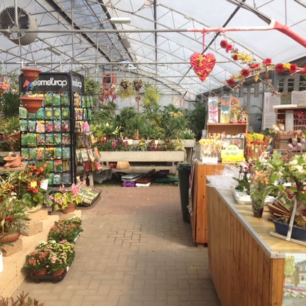 Garden Frediani prima del restyling