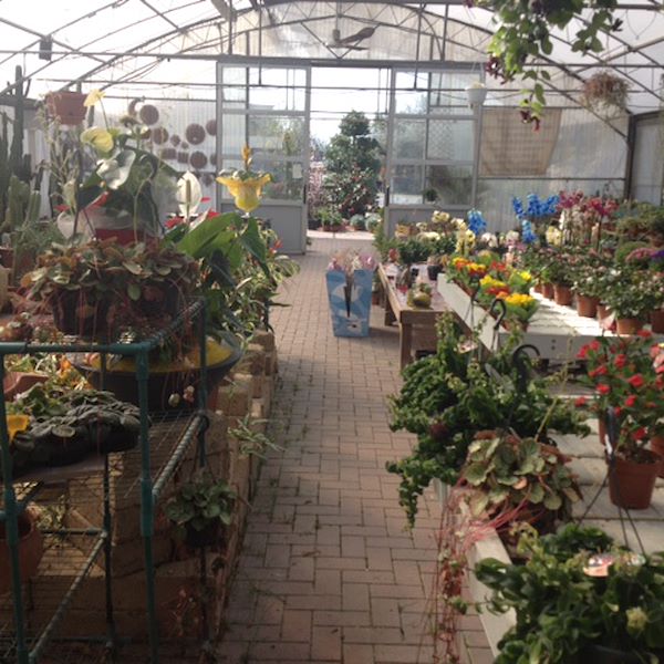 Garden Frediani vor der Neugestaltung