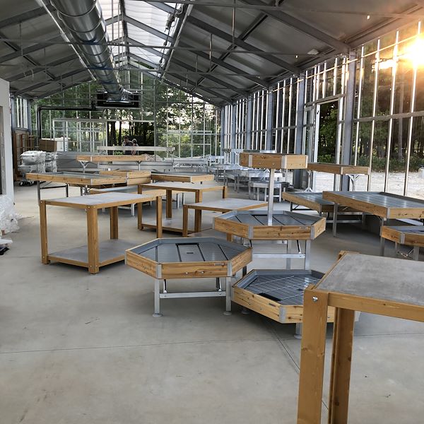 LA FASE DI ALLESTIMENTO