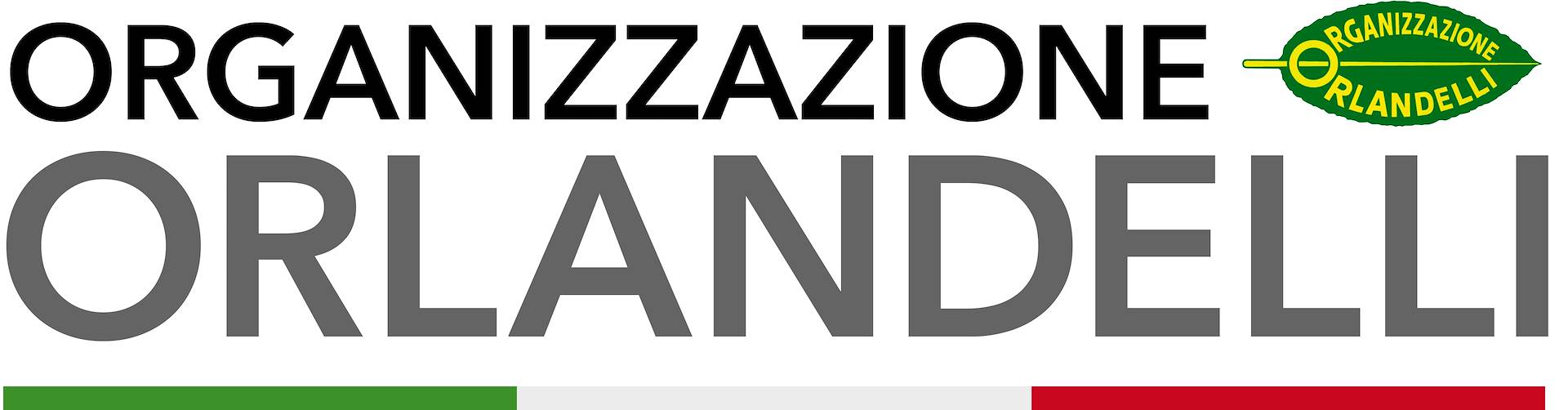 PROGETTARE IL LAYOUT DI UN GARDEN CENTRE IN UNO STORE D.I.Y.