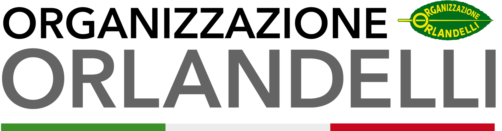 Logo Orlandelli