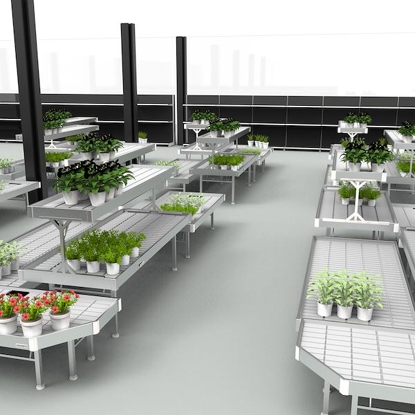 The Project - PRAKTIS