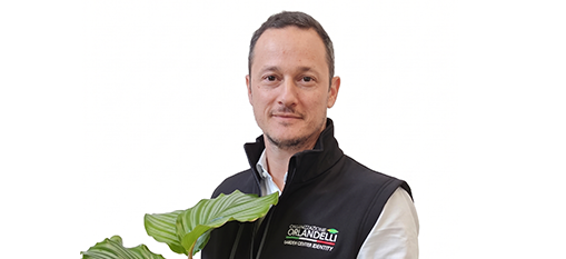 Luca Zanollo