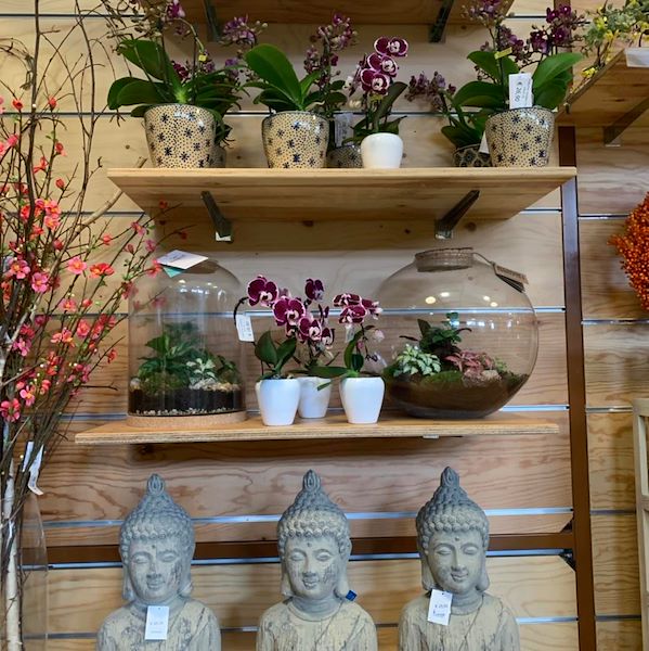 Le nouveau concept Paviotti d'Orlandelli