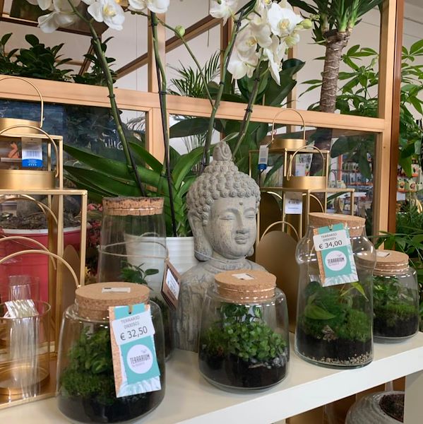 El nuevo concepto Paviotti de Orlandelli