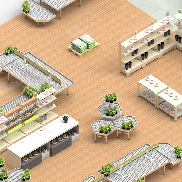 Il progetto di rinnovamento