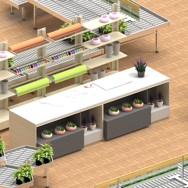 The renovation project