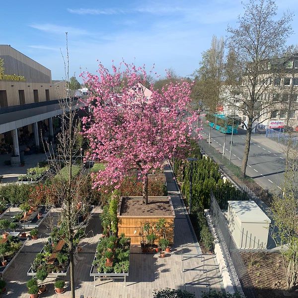 Bancale espositore fisso in alluminio da assemblare