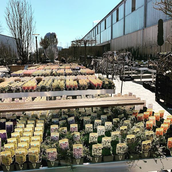 Mesa expositora fija de aluminio para montar