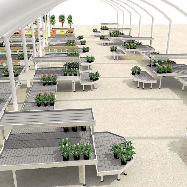 Il progetto di rinnovamento