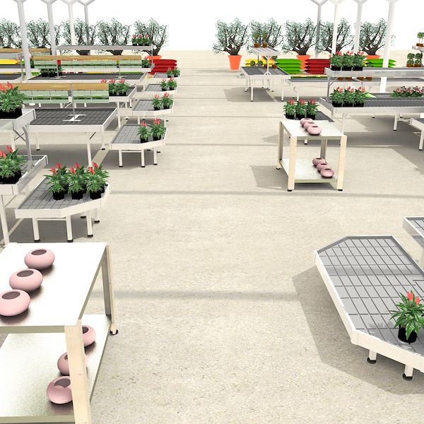 Il progetto di rinnovamento