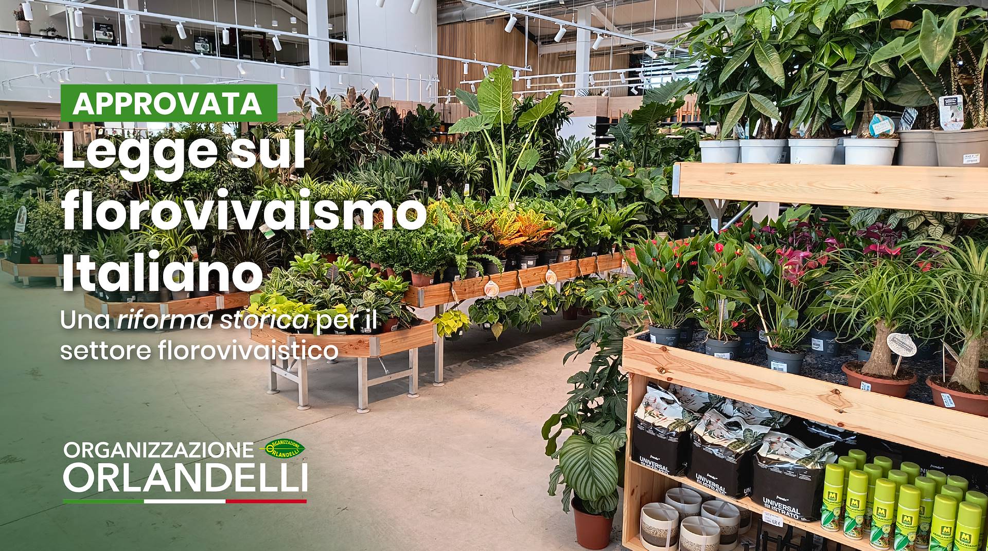 La nuova legge sul florovivaismo e garden center italiani