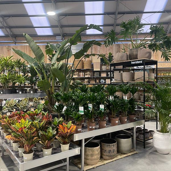 RISULTATO FINALE DEL GARDEN CENTER OFORNO