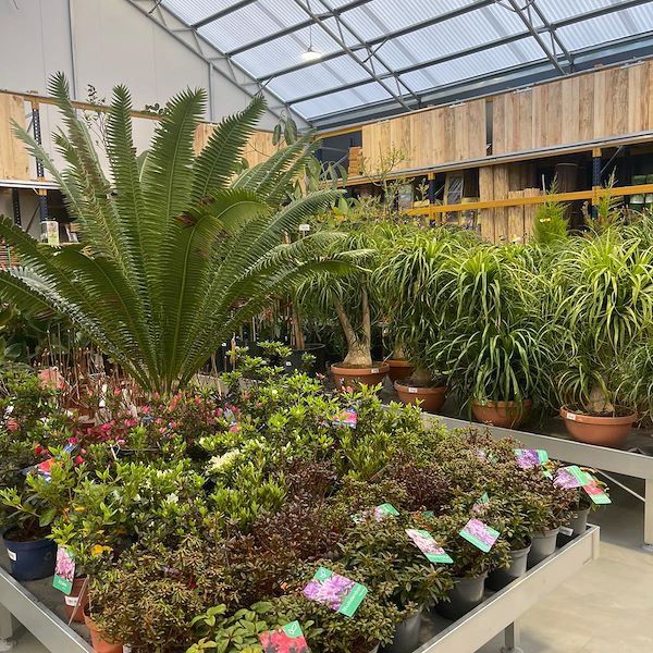 RISULTATO FINALE DEL GARDEN CENTER OFORNO