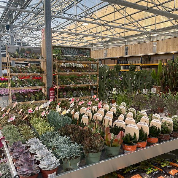 RISULTATO FINALE DEL GARDEN CENTER OFORNO