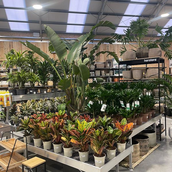 RÉSULTAT FINAL DE LA JARDINERIE OFORNO