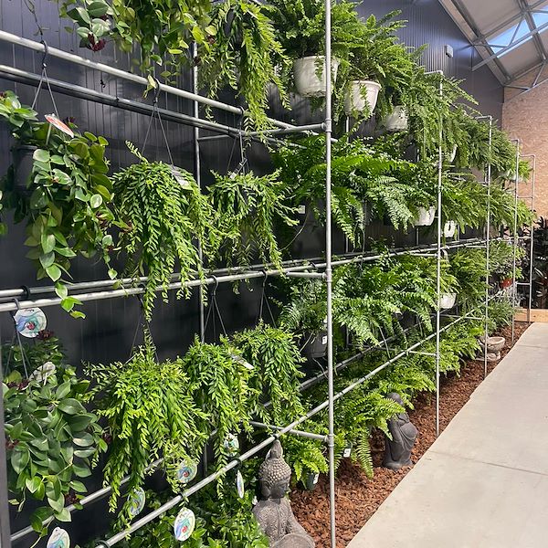 RÉSULTAT FINAL DE LA JARDINERIE OFORNO