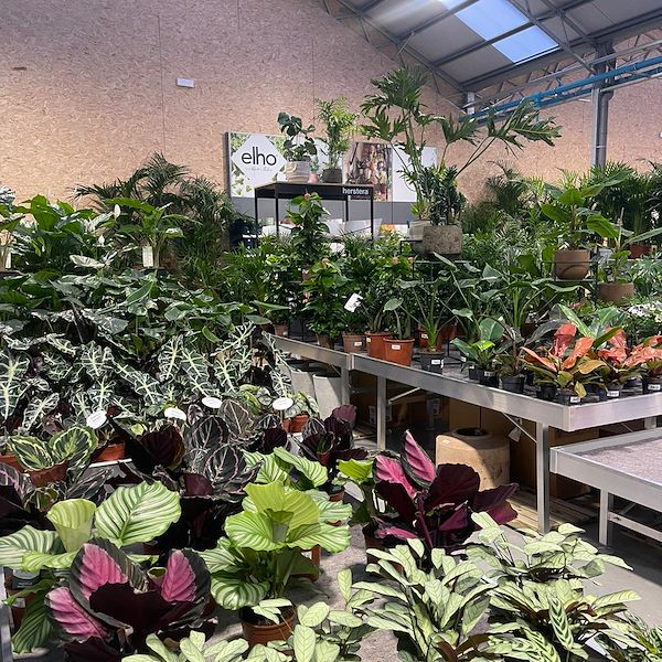 FINAL RESULT OF THE GARDEN CENTER OFORNO