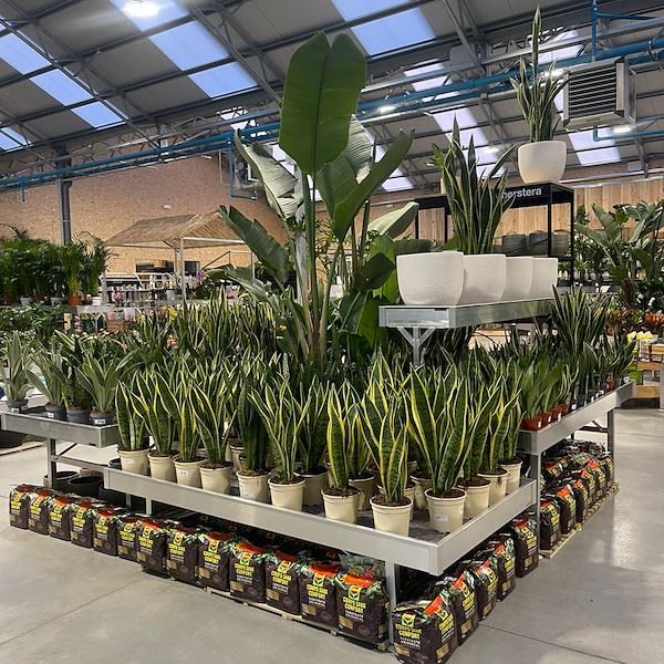 RISULTATO FINALE DEL GARDEN CENTER OFORNO