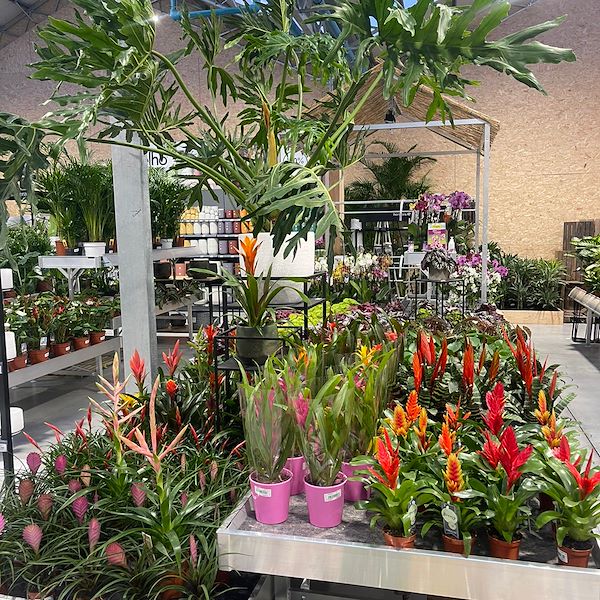 ENDGÜLTIGES ERGEBNIS DES GARTENZENTRUMS OFORNO