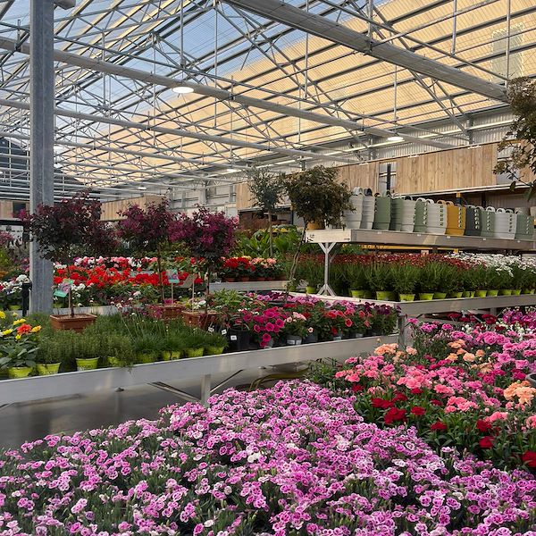 RÉSULTAT FINAL DE LA JARDINERIE OFORNO