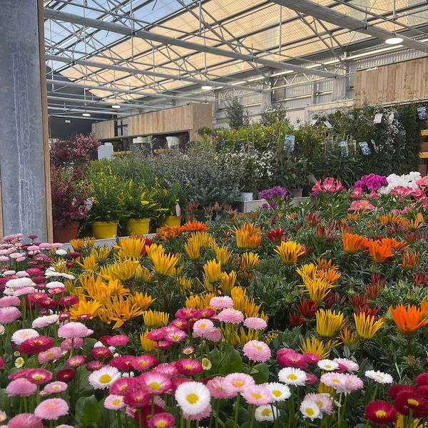 RISULTATO FINALE DEL GARDEN CENTER OFORNO