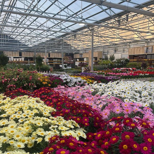 ENDGÜLTIGES ERGEBNIS DES GARTENZENTRUMS OFORNO