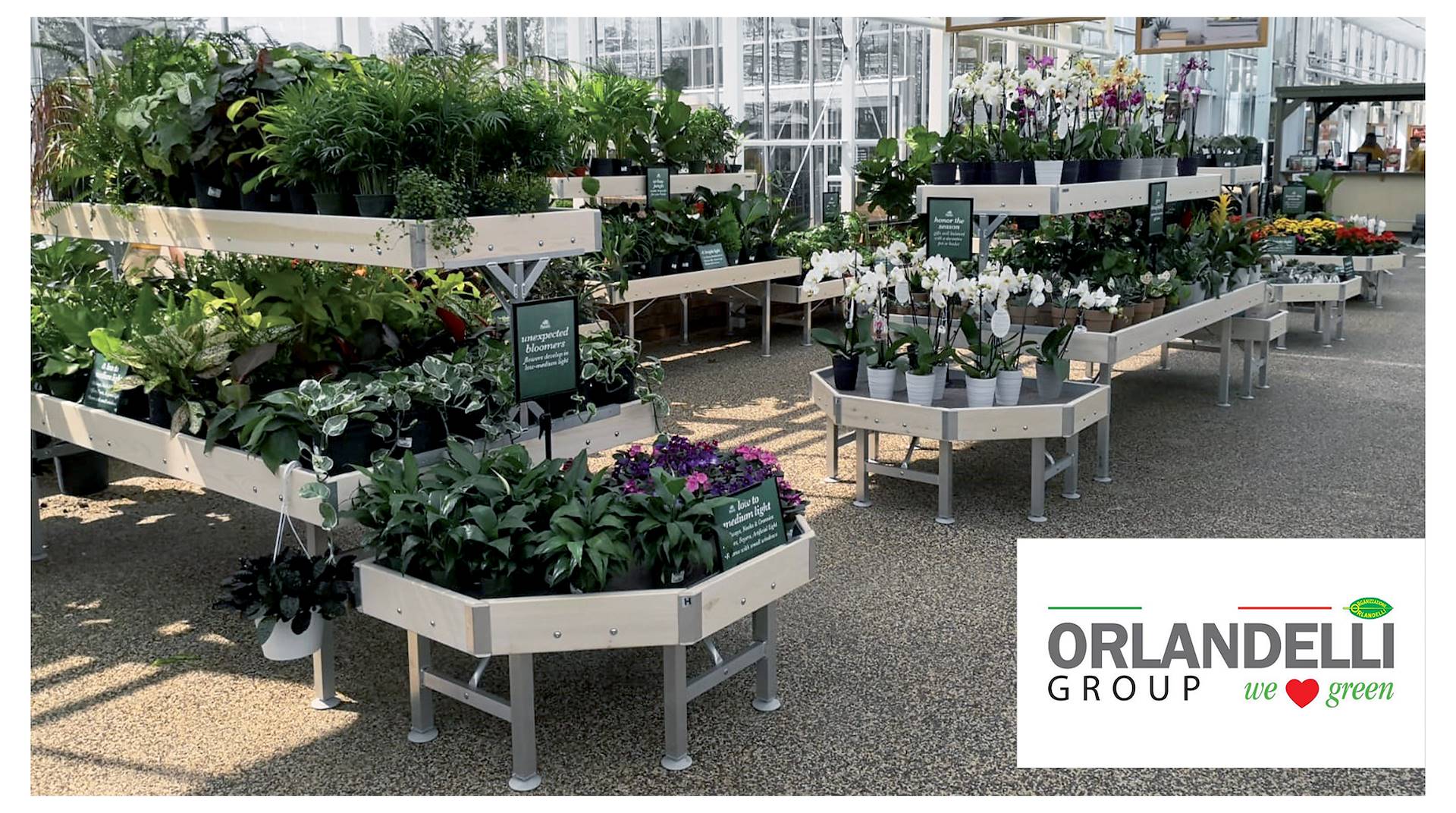 Orlandelli Group LLC