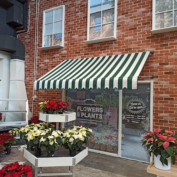 Organizzazione Orlandelli presenta il nuovo concept d'arredo per l'area confezionamento di piante e fiori