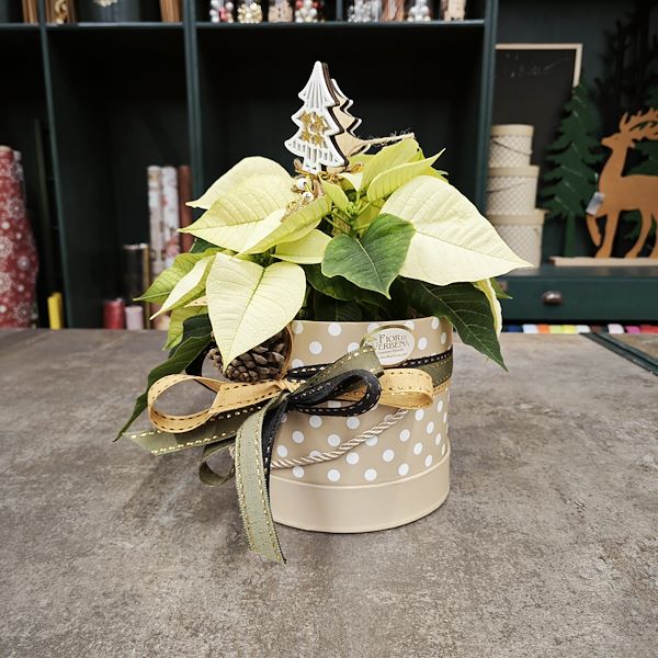 Orlandelli presents the new shopfitting concept for the wrapping area of plants and flowers