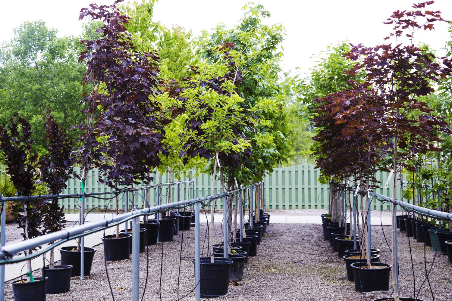 Riutilizzare, riadattare, riciclare