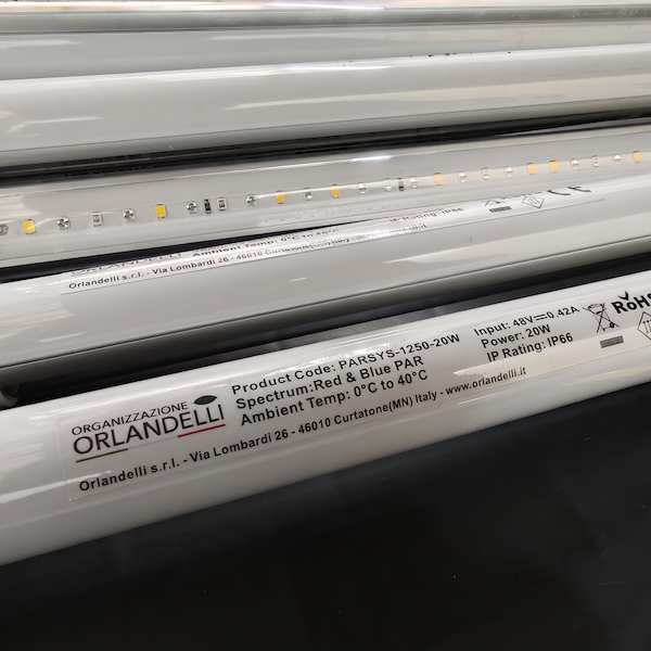Carrello a griglia 1350 con luci led TUBE RED&BLUE PAR Fioritura