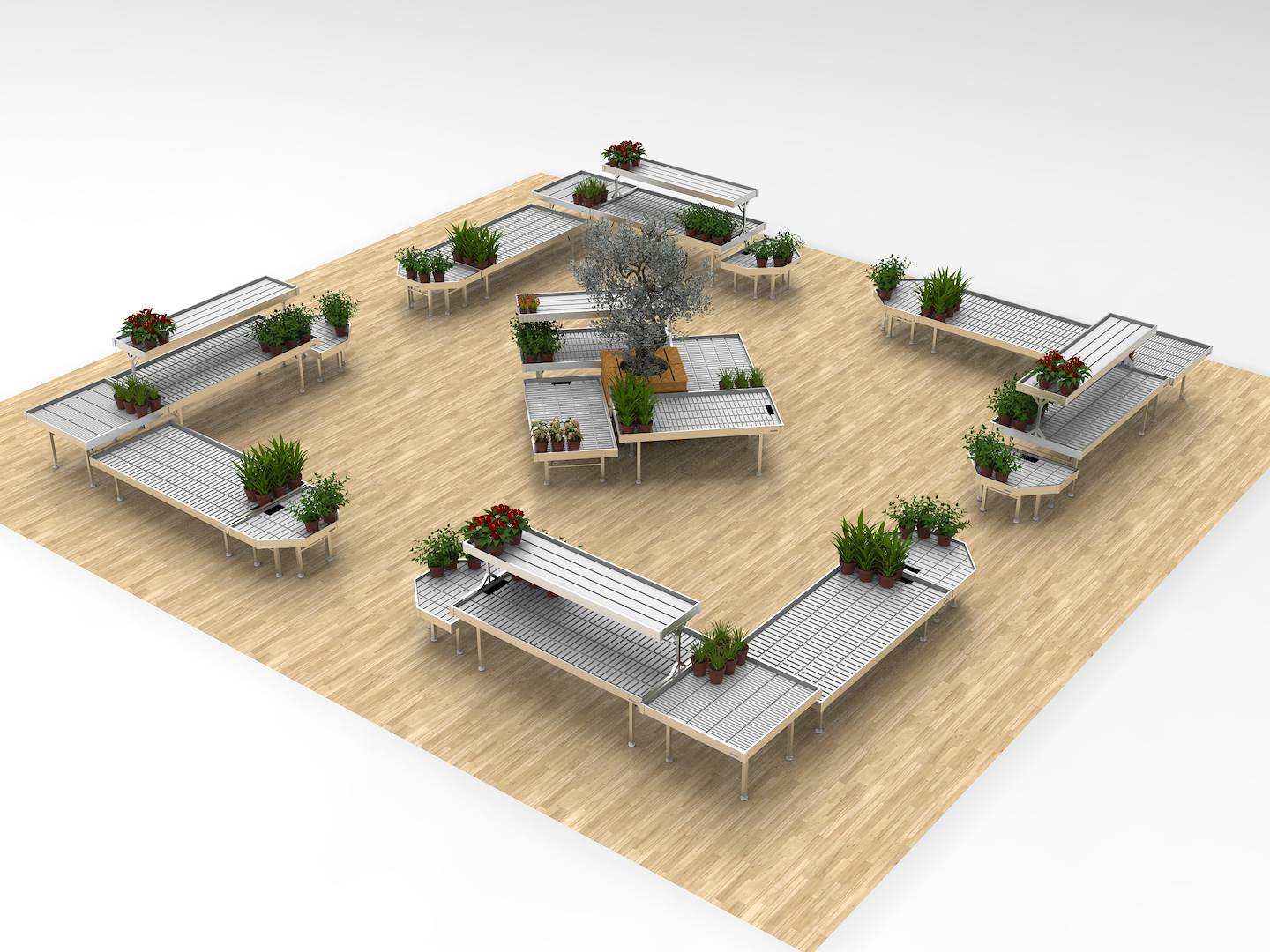 Format SAISONALE PFLANZEN