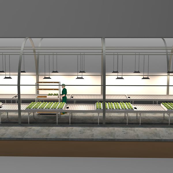 Format SERRA - LED FOR GROWERS