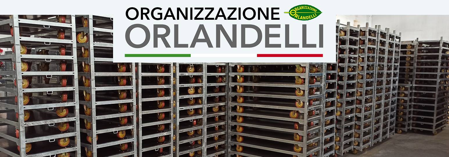 Rottama i carrelli usati o rotti