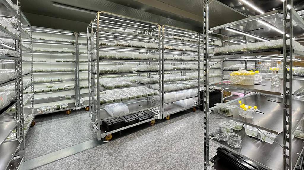 Vertical farm: la nuova tassazione favorisce l'innovazione