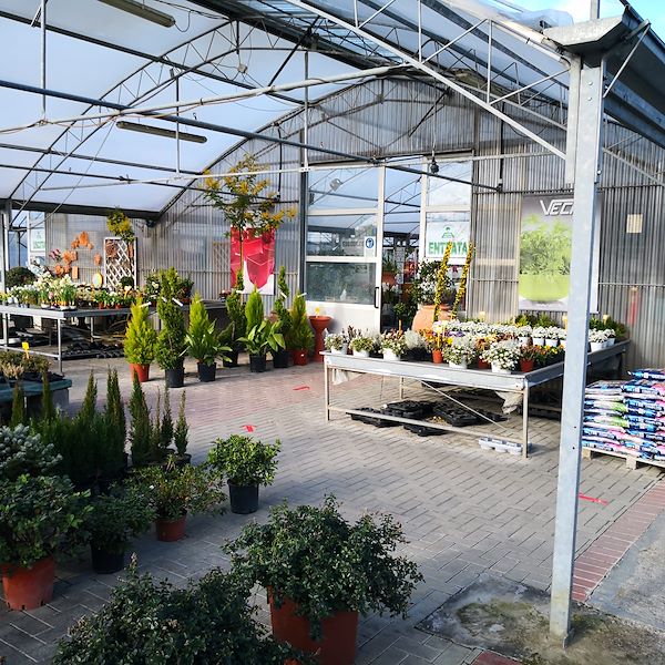 Garden Frediani prima del restyling