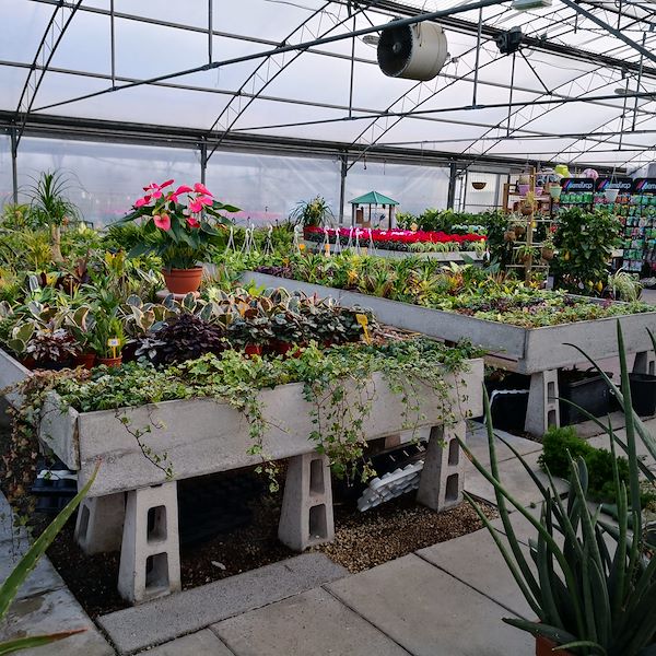 Garden Frediani prima del restyling