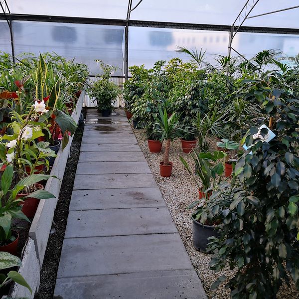 Garden Frediani before restyling