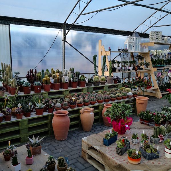 Garden Frediani vor der Neugestaltung