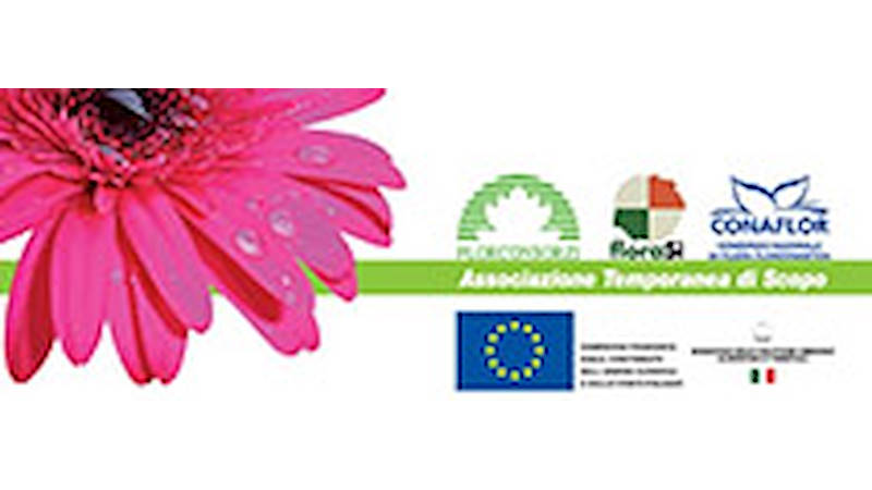 AGGREGAZIONE, PROMOZIONE... SVILUPPO !