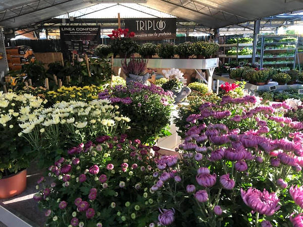 Agri Garden è Natali is renewed with Orlandelli solutions