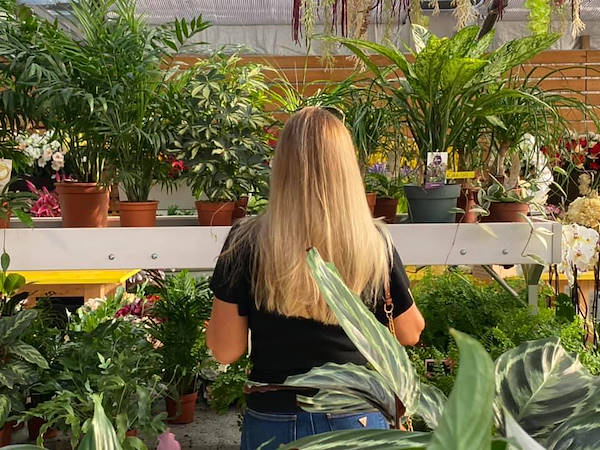 مع حلول أورلانديلي  Agri Garden è Natali  تم تجديد