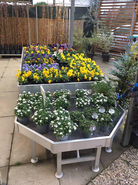 Agri Garden è Natali is renewed with Orlandelli solutions