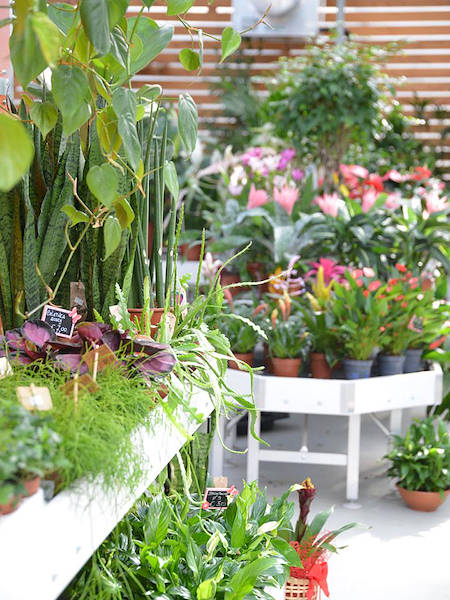 Agri Garden è Natali is renewed with Orlandelli solutions