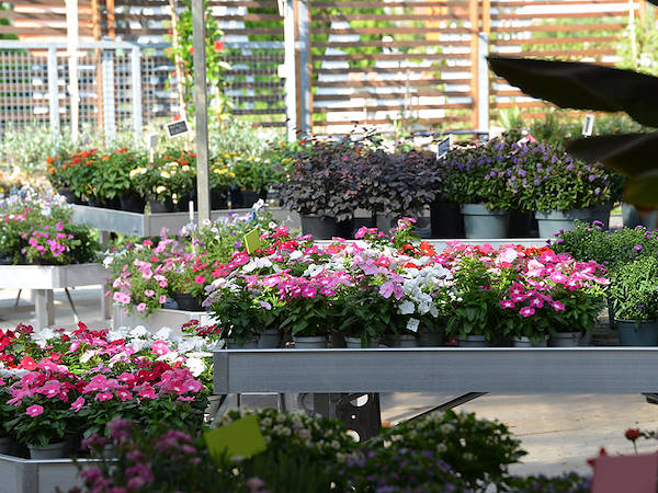 Agri Garden è Natali is renewed with Orlandelli solutions