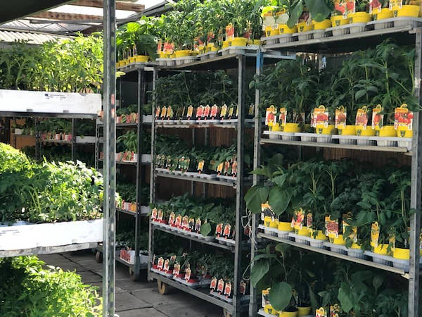 «Agri Garden è Natali» обновляется благодаря решениям от Orlandelli