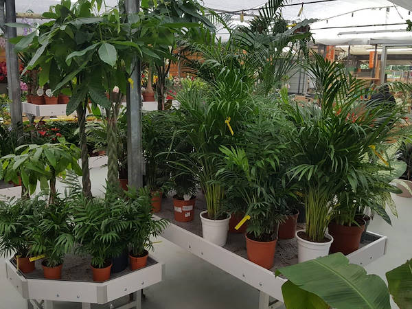 Agri Garden è Natali se renueva con soluciones Orlandelli