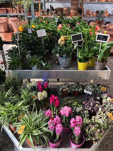 Agri Garden è Natali se renueva con soluciones Orlandelli